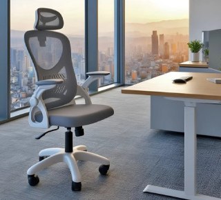 Cadeira de Escritório Columbus Ergonômica Mesh