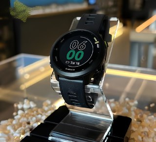 Garmin Relógio Forerunner 55 Monitor Cardíaco GPS