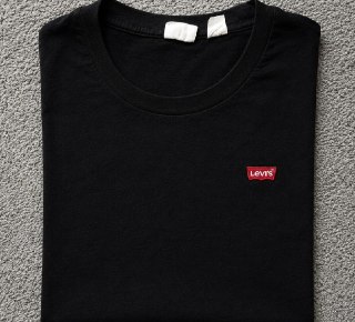 Camiseta Levi's Standard Classic Printed Housemark