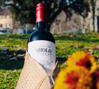 Vinho Miolo Seleção Cabernet Merlot 750ml