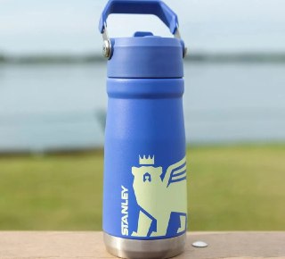 Garrafa Térmica Stanley Flip Straw Youth Iris 500ml