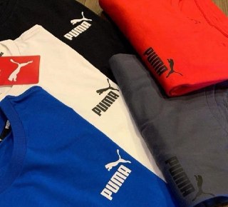 Camiseta Essentials Small Logo Puma