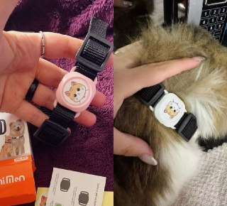 Rastreador Pet com Coleira – Compatível com Apple